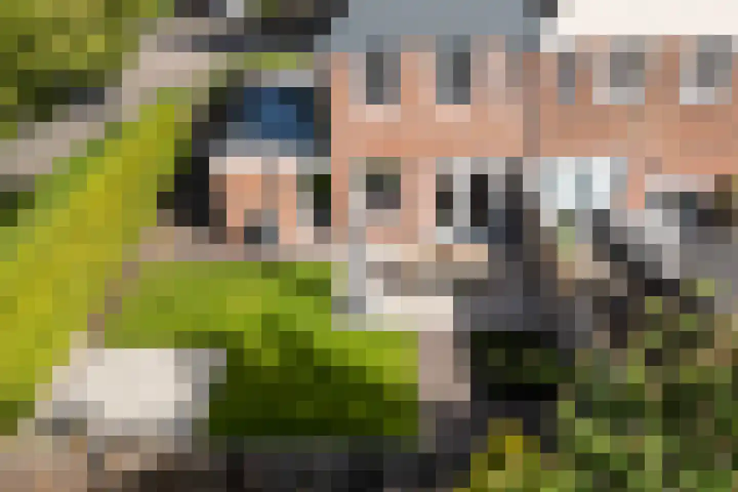 Dotingastate 75 Leeuwarden thumbnail 13