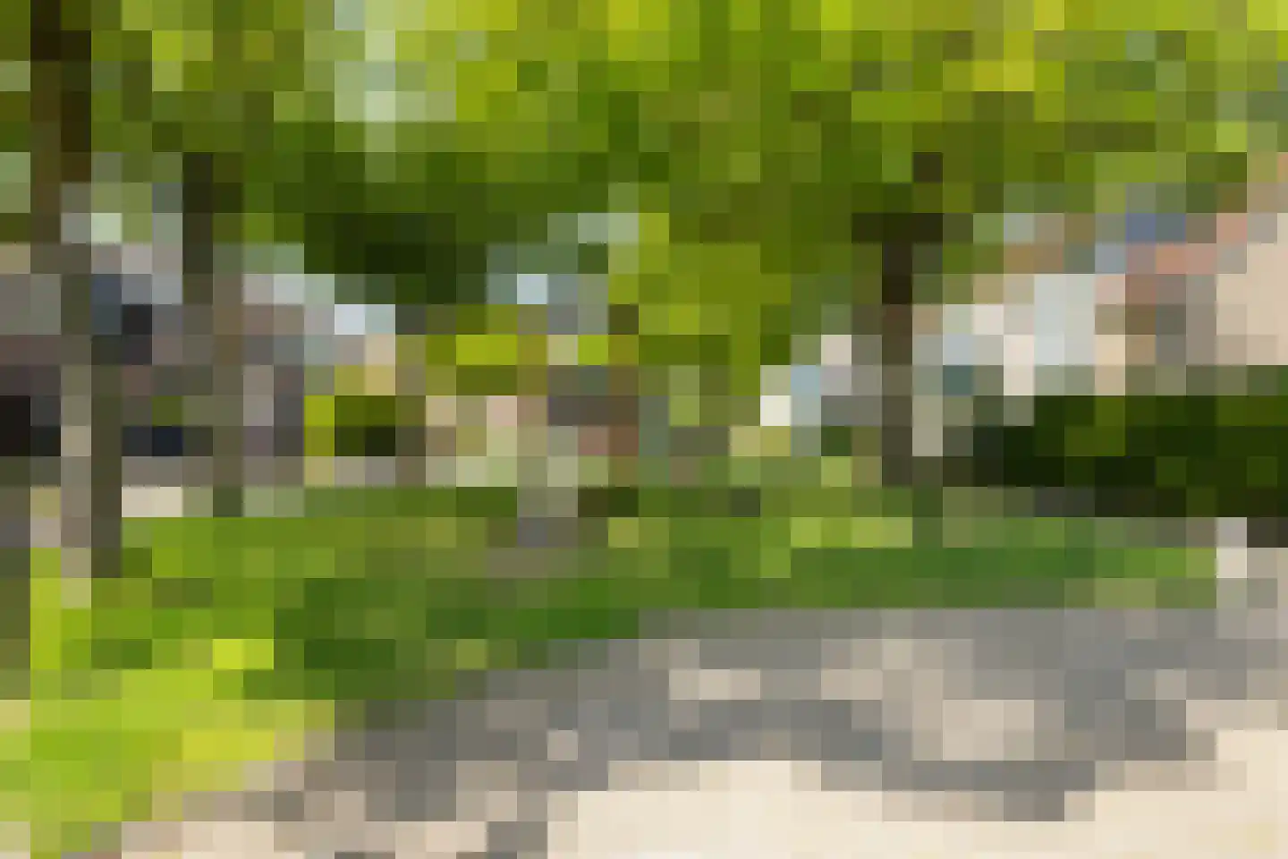 Dotingastate 75 Leeuwarden thumbnail 18
