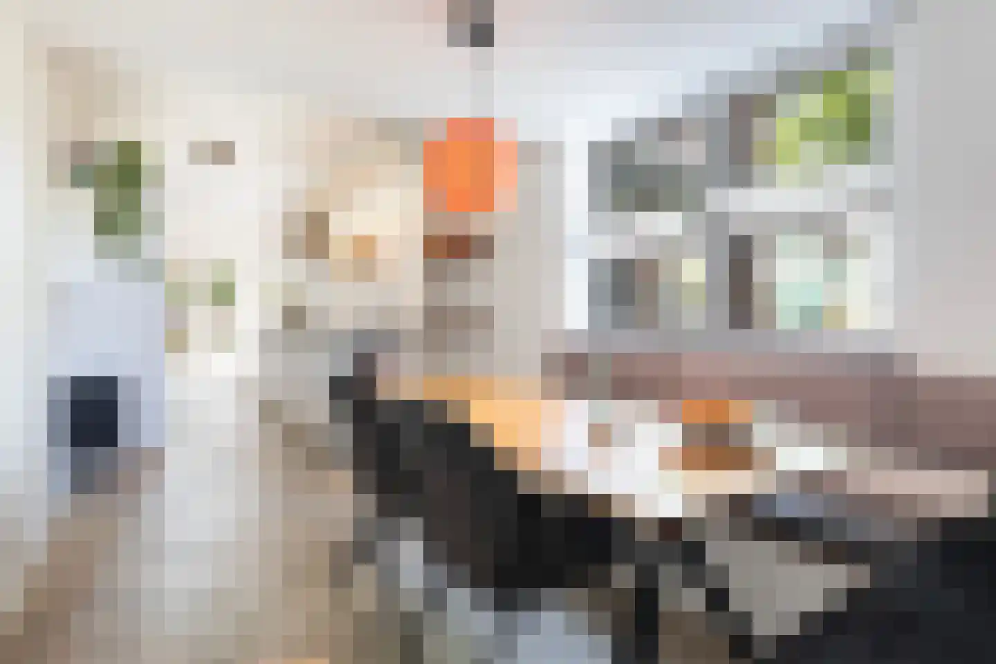 Dotingastate 75 Leeuwarden thumbnail 32