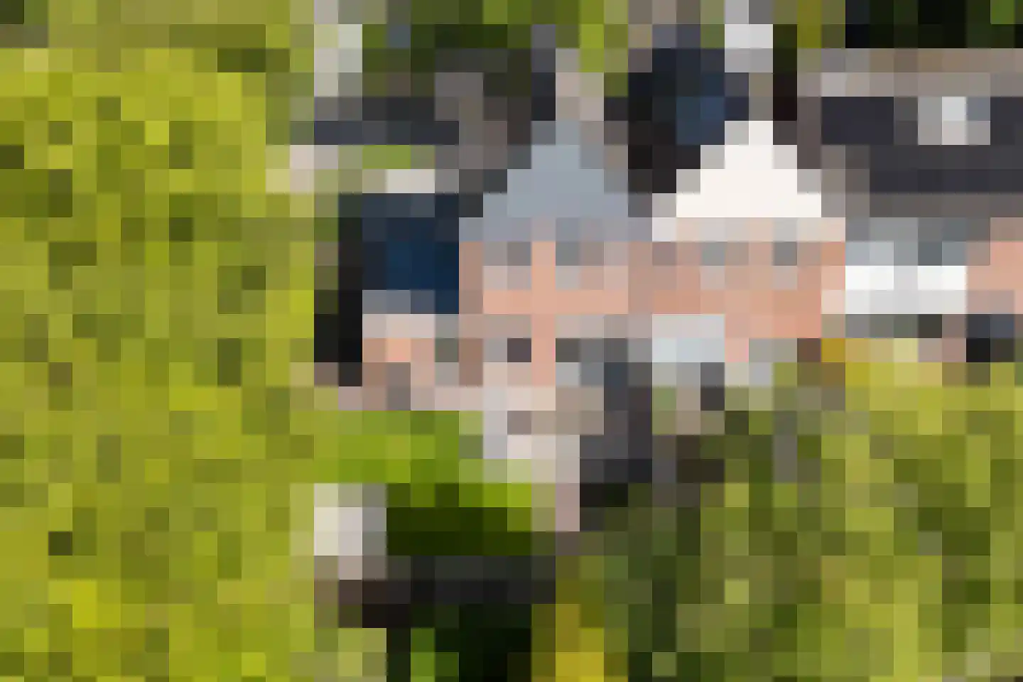 Dotingastate 75 Leeuwarden thumbnail 4