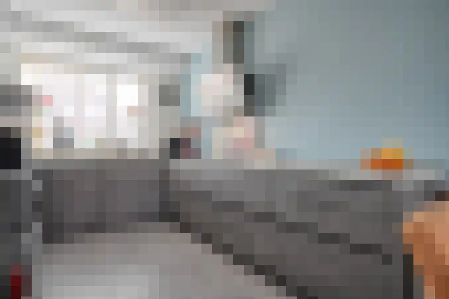Dotingastraat 14 Dedemsvaart thumbnail 11