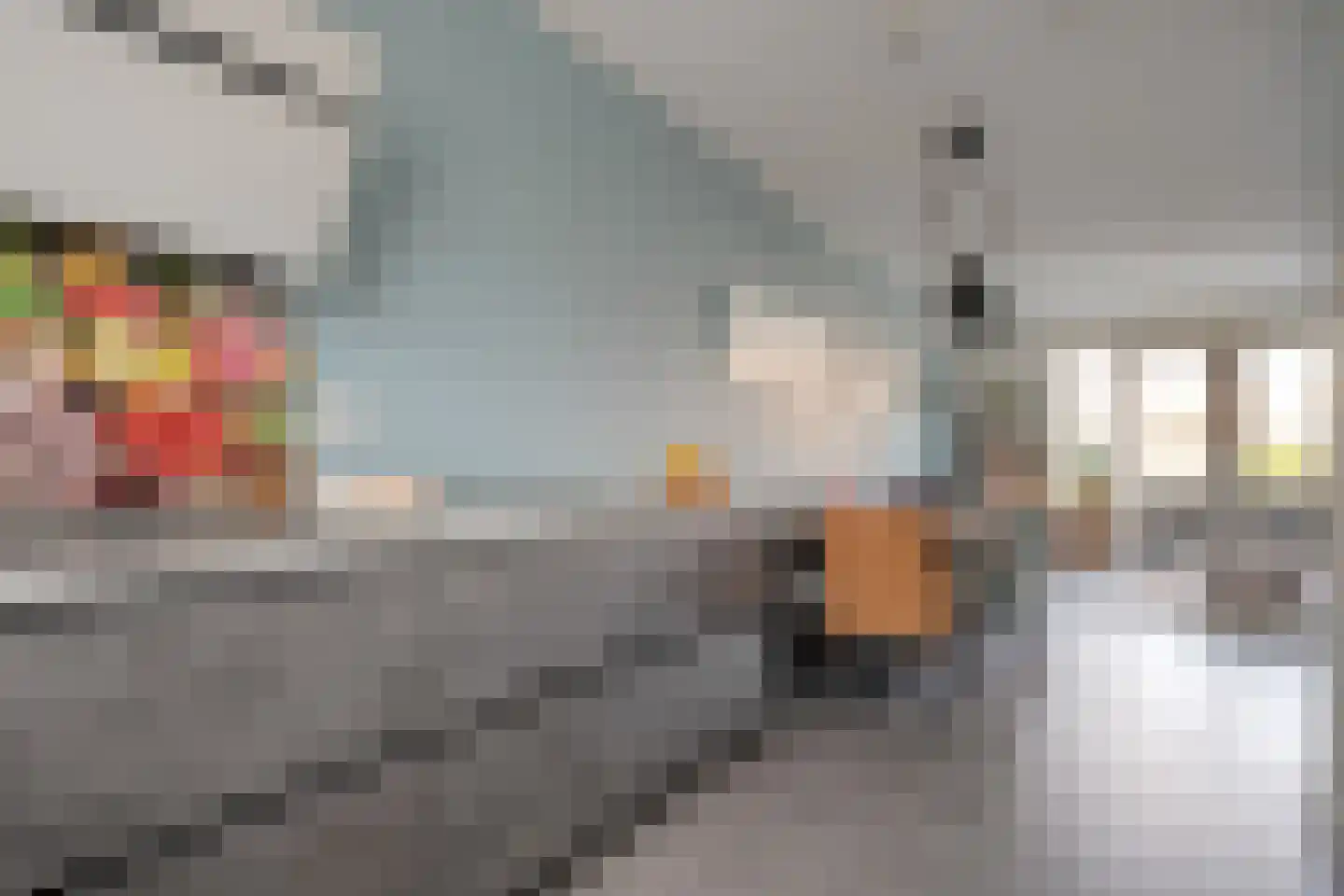 Dotingastraat 14 Dedemsvaart thumbnail 12