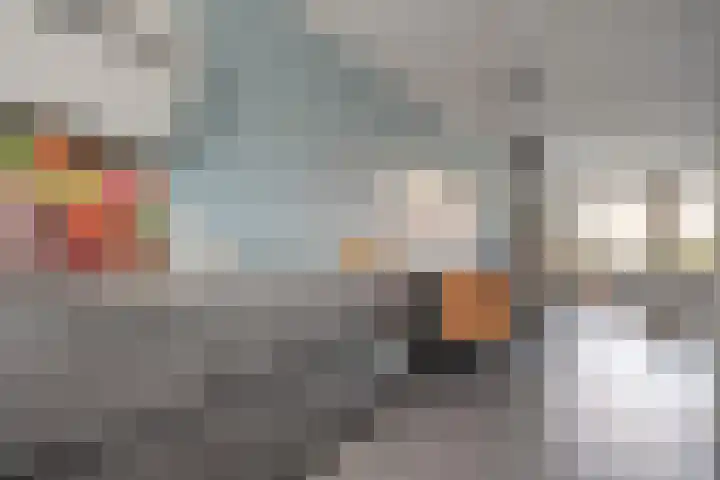 Dotingastraat 14 Dedemsvaart thumbnail 12