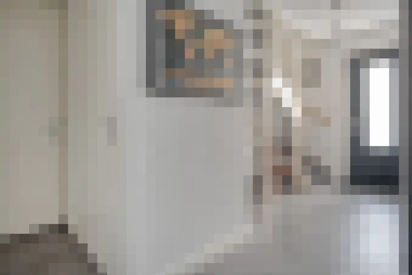 Dotingastraat 14 Dedemsvaart thumbnail 16