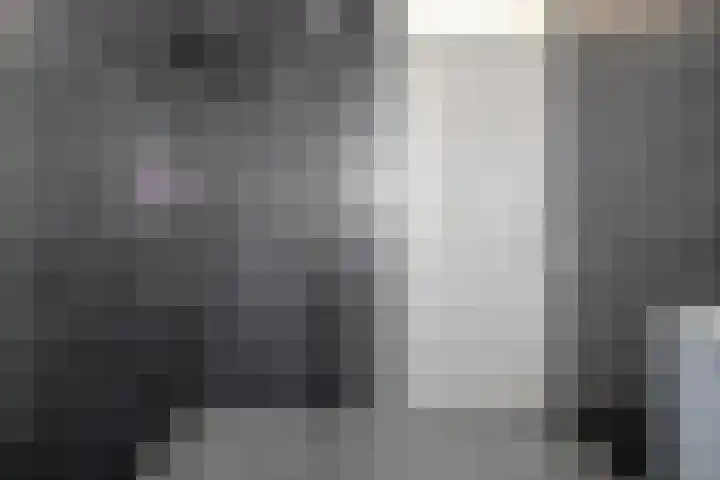 Dotingastraat 14 Dedemsvaart thumbnail 23