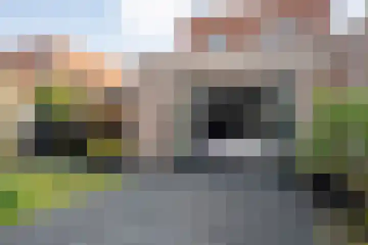 Dotingastraat 14 Dedemsvaart thumbnail 27
