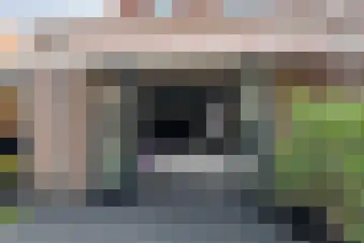 Dotingastraat 14 Dedemsvaart thumbnail 28