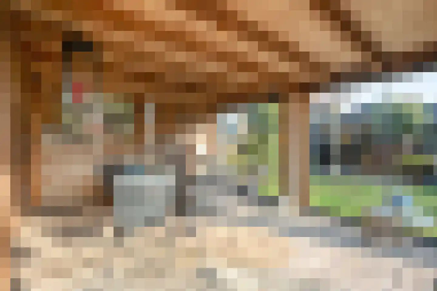 Dotingastraat 14 Dedemsvaart thumbnail 30