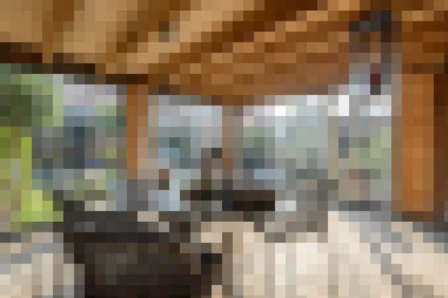 Dotingastraat 14 Dedemsvaart thumbnail 31