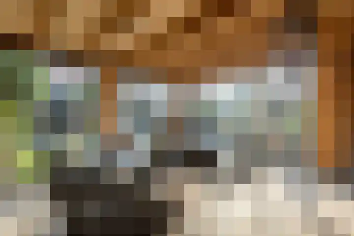 Dotingastraat 14 Dedemsvaart thumbnail 31