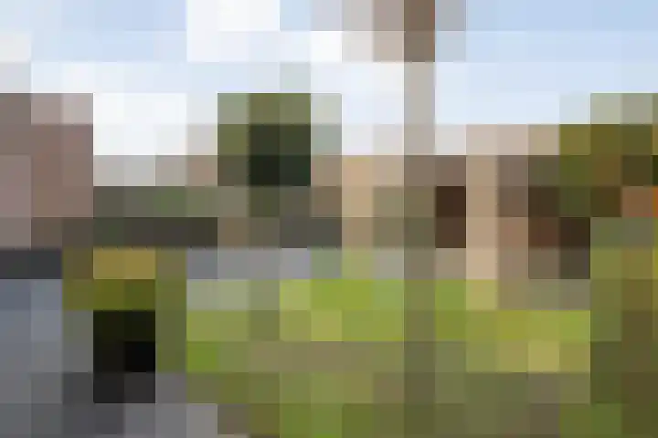 Dotingastraat 14 Dedemsvaart thumbnail 35