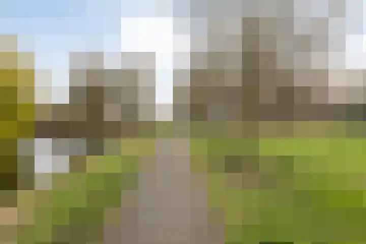 Dotingastraat 14 Dedemsvaart thumbnail 38