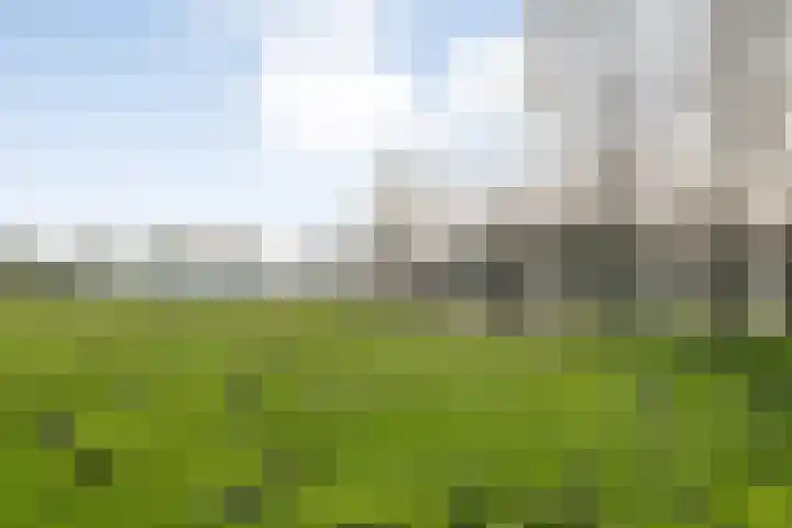 Dotingastraat 14 Dedemsvaart thumbnail 39