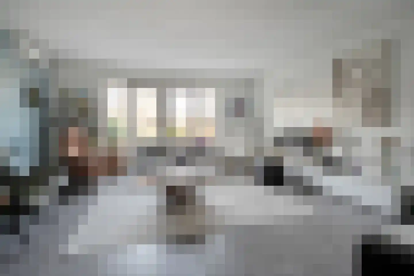 Dotingastraat 14 Dedemsvaart thumbnail 4