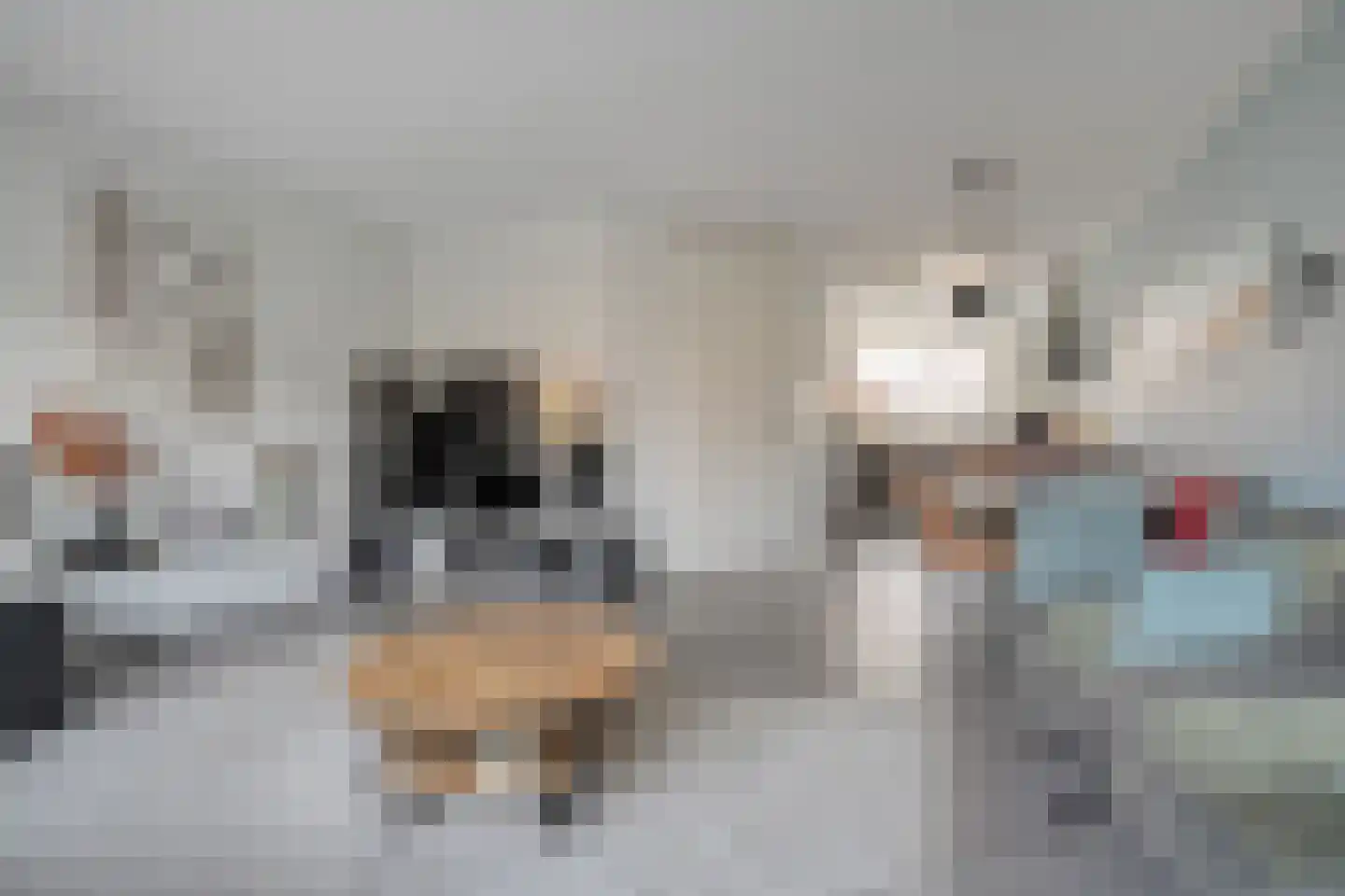 Dotingastraat 14 Dedemsvaart thumbnail 7