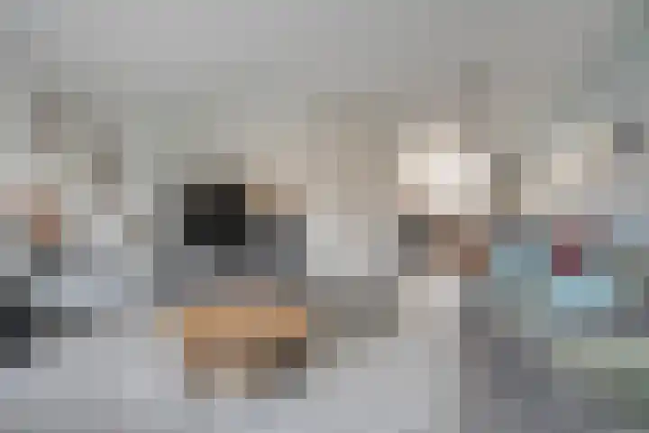 Dotingastraat 14 Dedemsvaart thumbnail 7