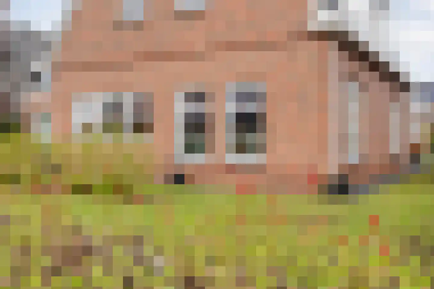 Dotingastraat 7 Dedemsvaart thumbnail 10