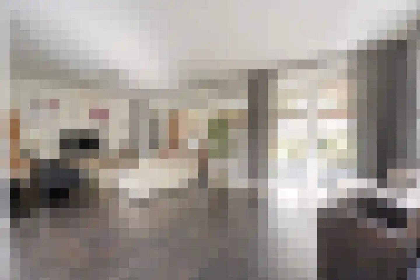 Dotingastraat 7 Dedemsvaart thumbnail 18