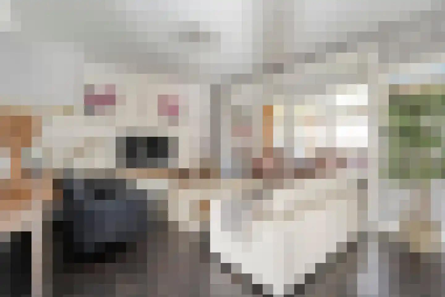 Dotingastraat 7 Dedemsvaart thumbnail 19