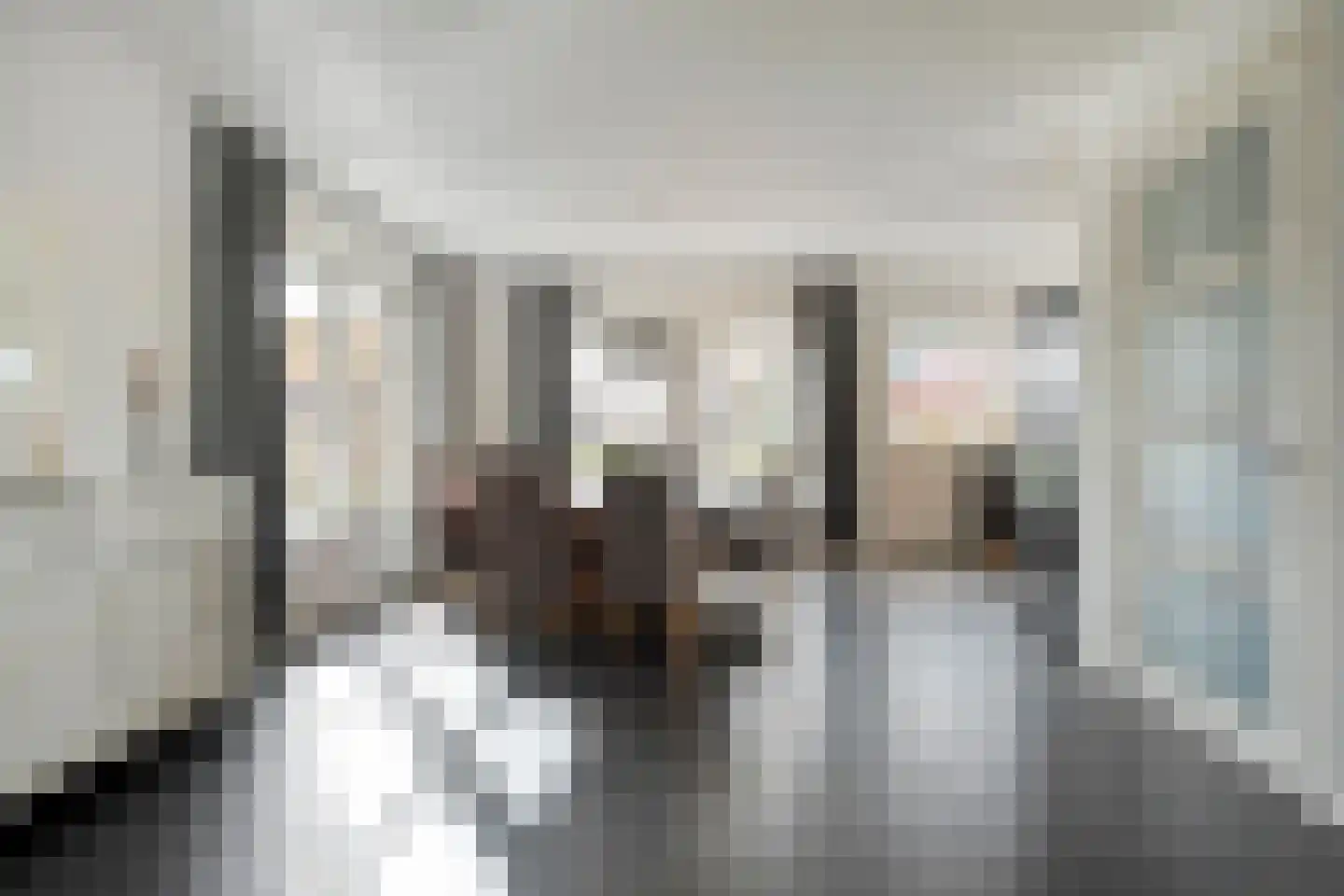 Dotingastraat 7 Dedemsvaart thumbnail 23