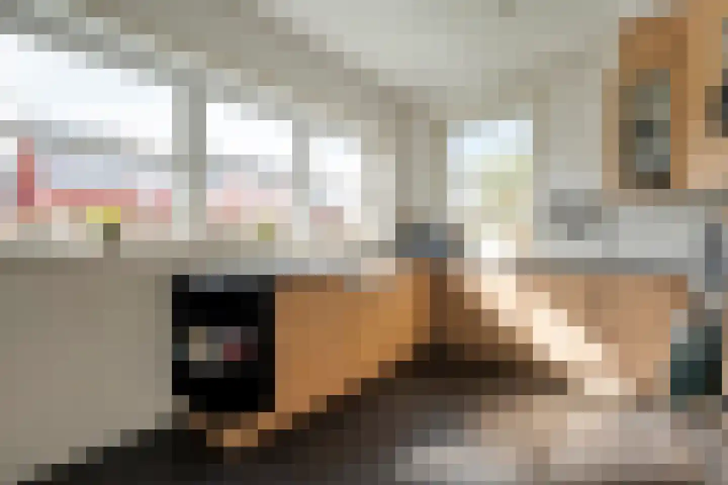 Dotingastraat 7 Dedemsvaart thumbnail 25