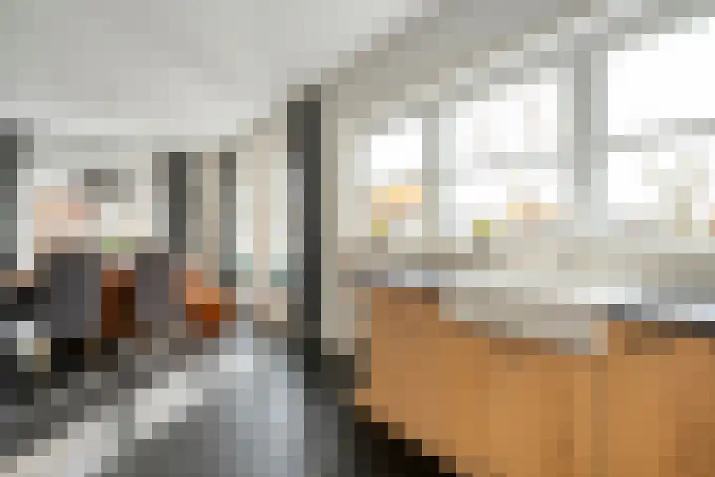 Dotingastraat 7 Dedemsvaart thumbnail 26