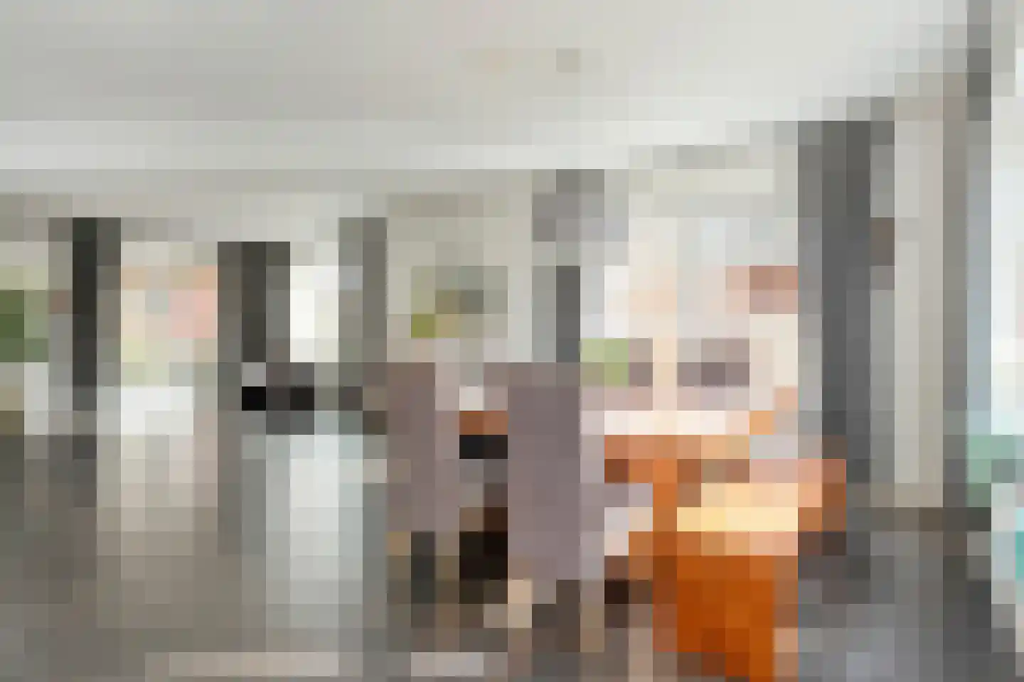 Dotingastraat 7 Dedemsvaart thumbnail 28