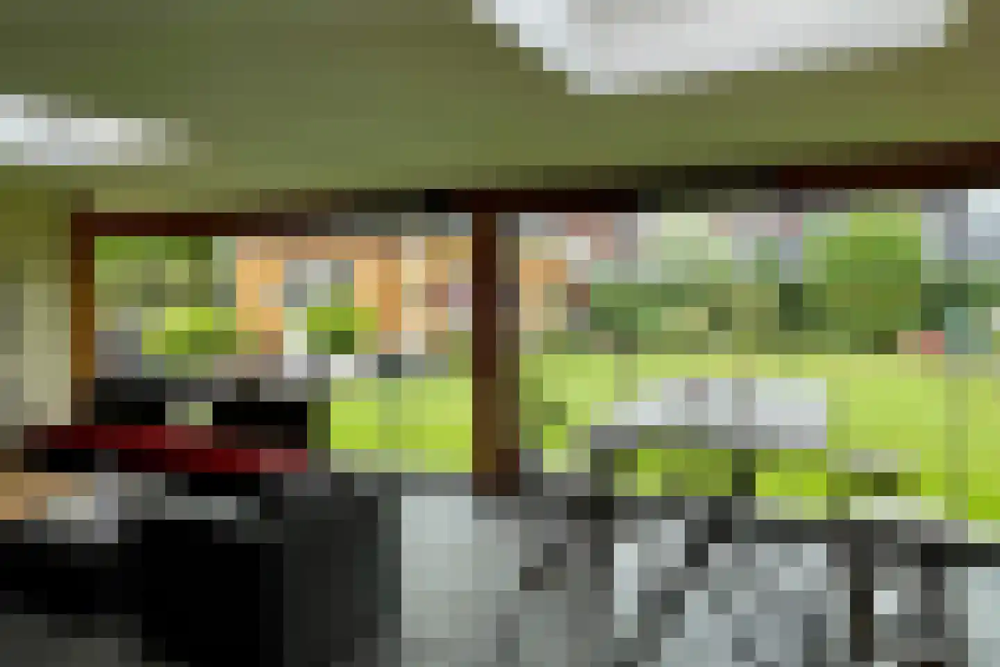 Dotingastraat 7 Dedemsvaart thumbnail 34