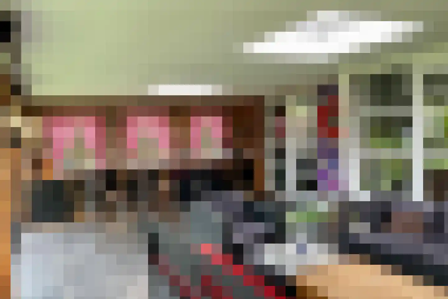 Dotingastraat 7 Dedemsvaart thumbnail 35