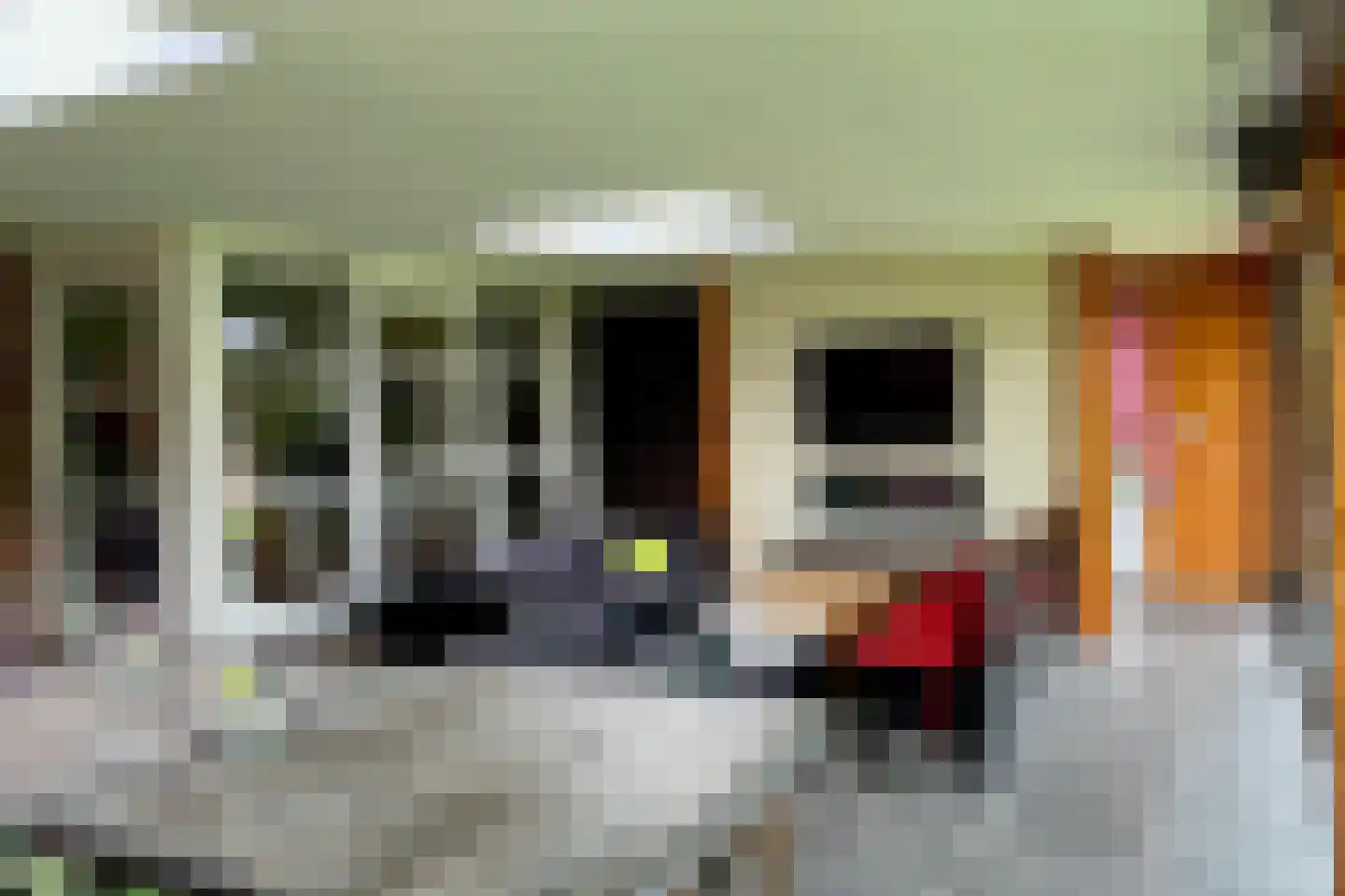 Dotingastraat 7 Dedemsvaart thumbnail 36