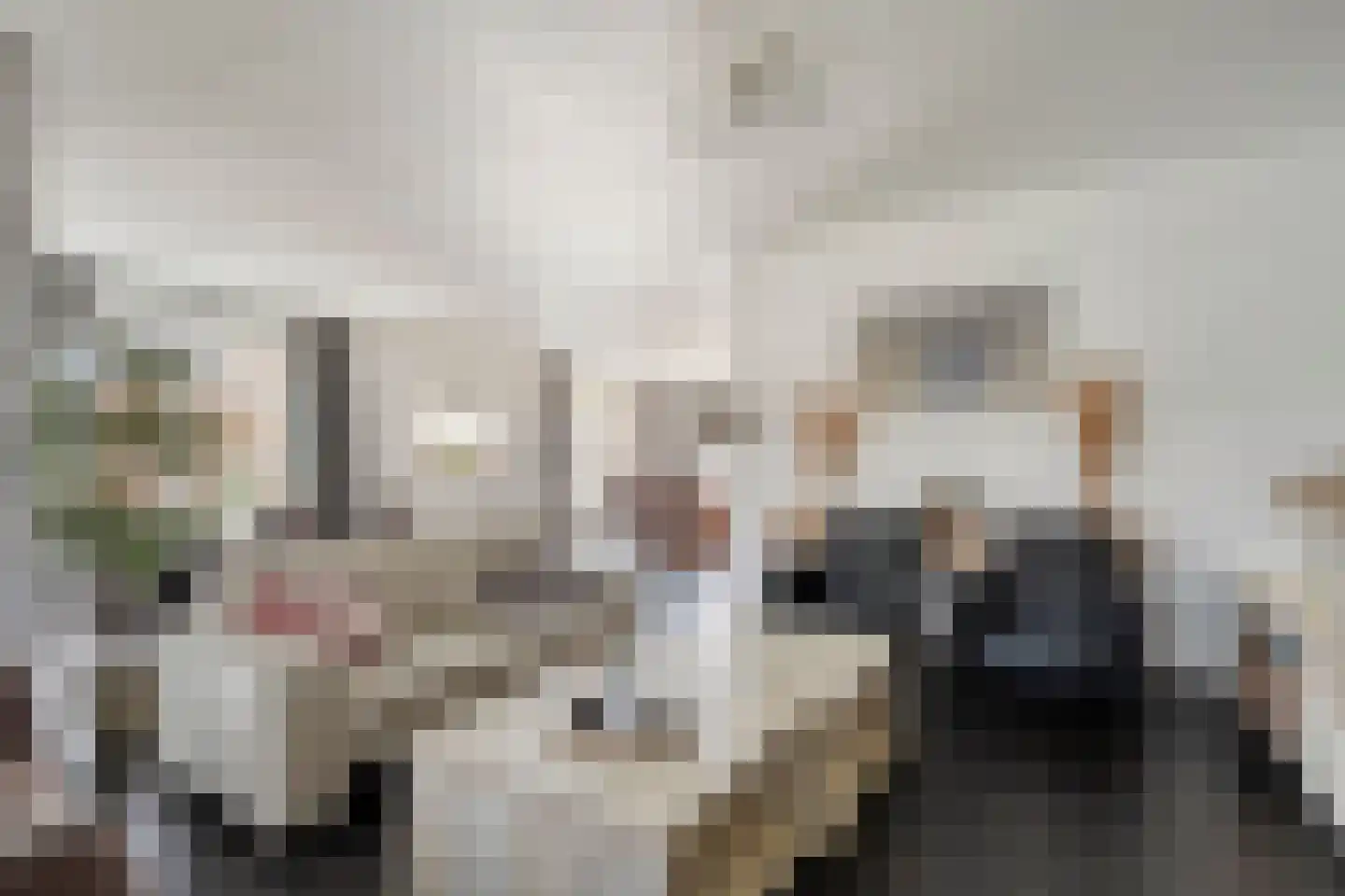 Dotingastraat 7 Dedemsvaart thumbnail 4