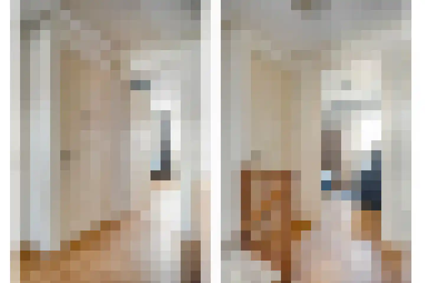 Dotingastraat 7 Dedemsvaart thumbnail 42