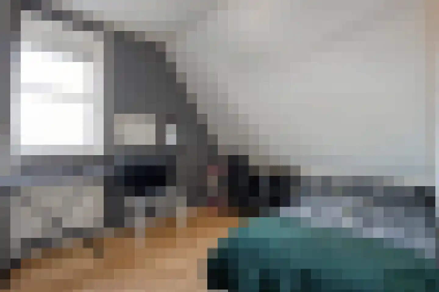 Dotingastraat 7 Dedemsvaart thumbnail 45