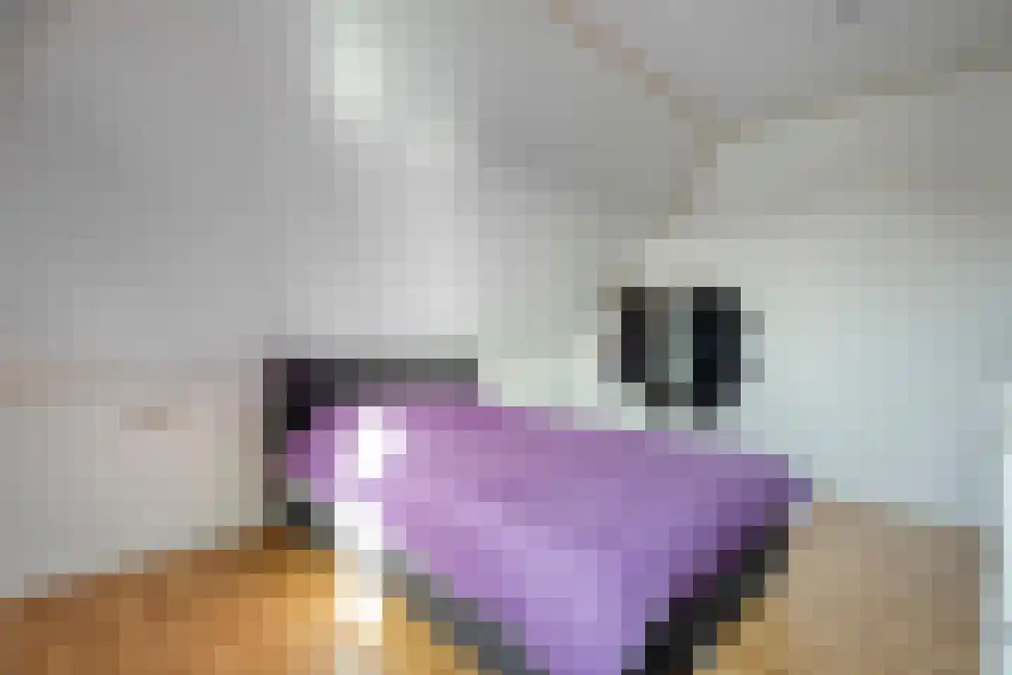 Dotingastraat 7 Dedemsvaart thumbnail 50