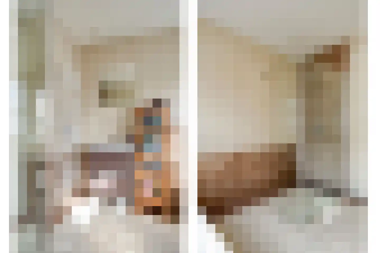 Dotingastraat 7 Dedemsvaart thumbnail 53