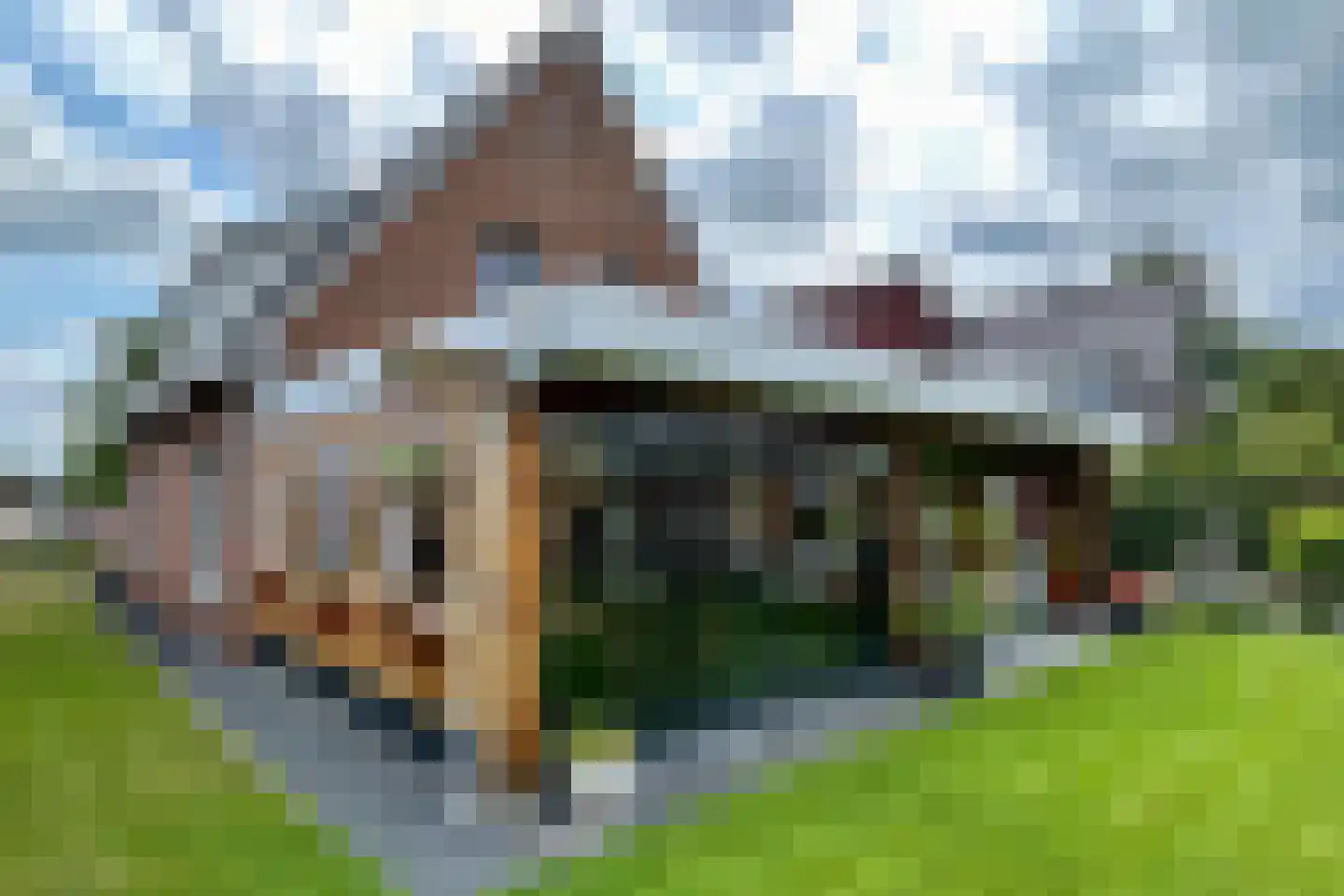 Dotingastraat 7 Dedemsvaart thumbnail 54