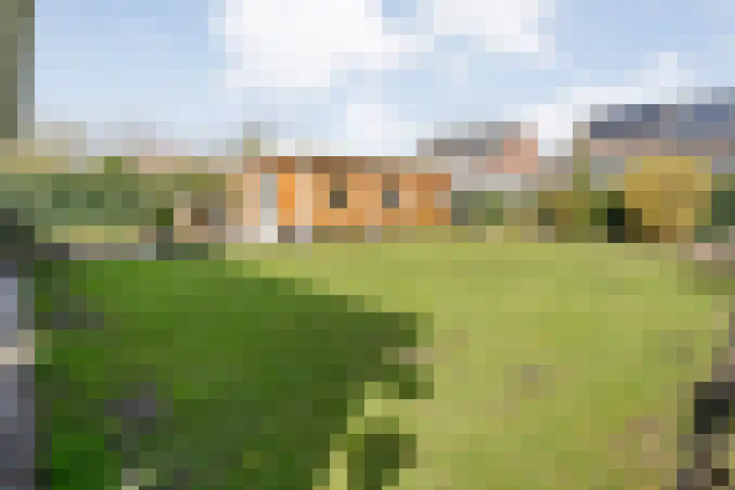 Dotingastraat 7 Dedemsvaart thumbnail 56