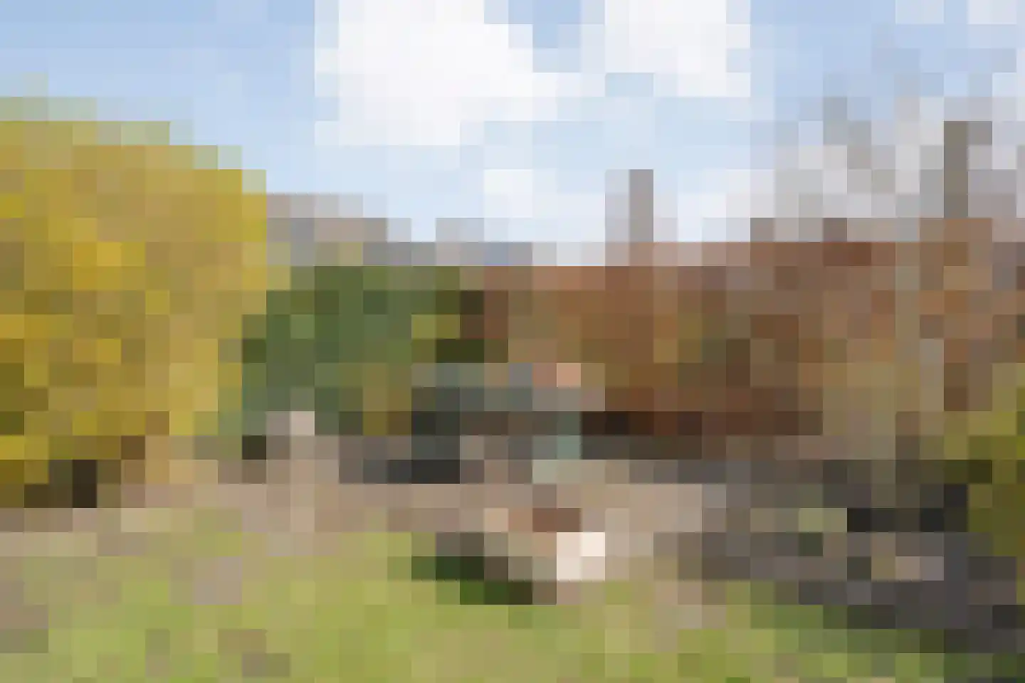 Dotingastraat 7 Dedemsvaart thumbnail 60