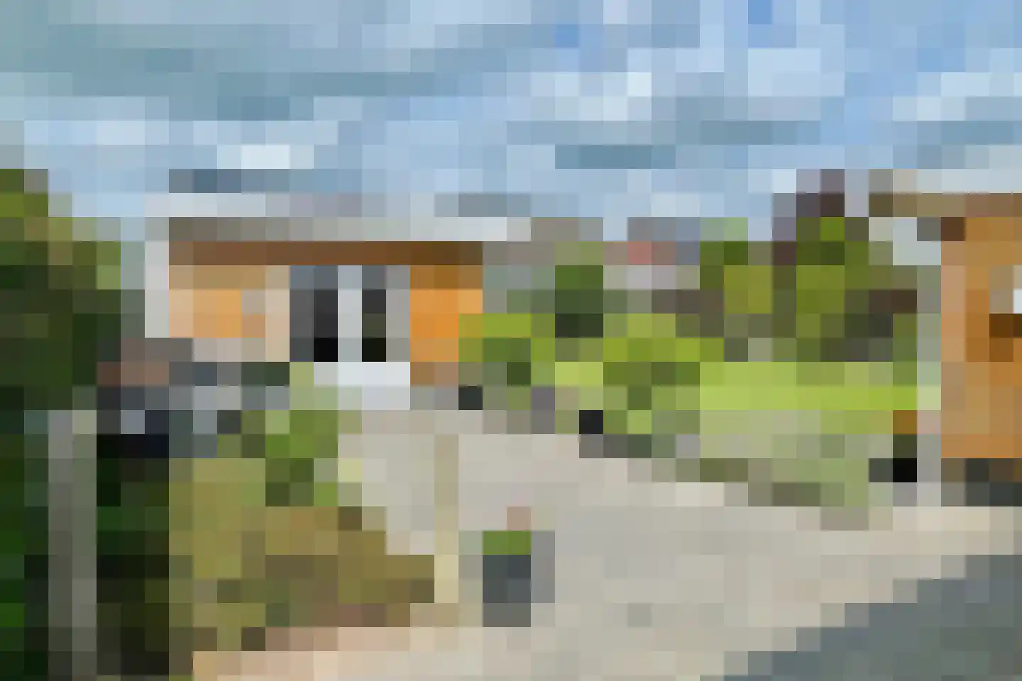 Dotingastraat 7 Dedemsvaart thumbnail 60