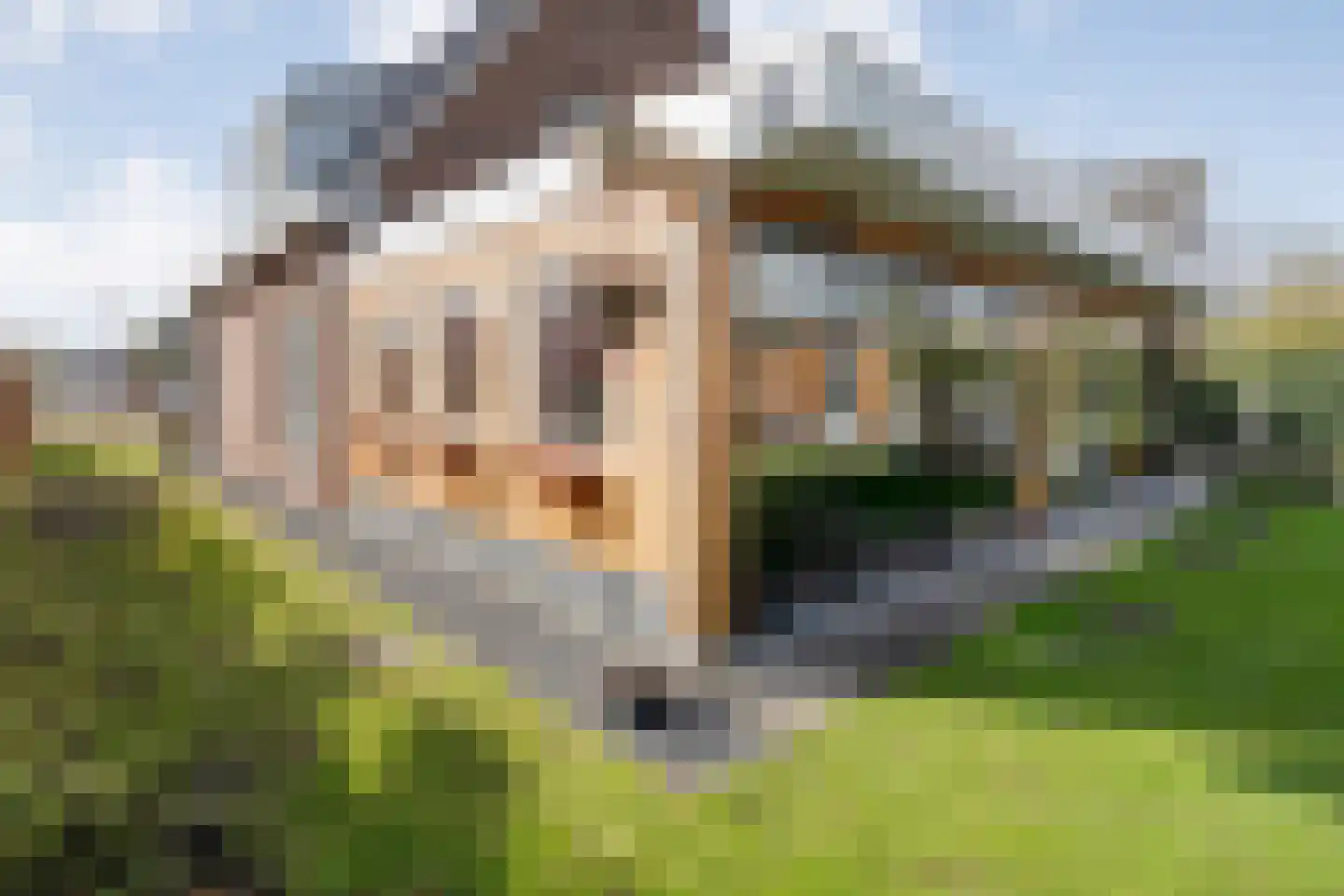 Dotingastraat 7 Dedemsvaart thumbnail 64