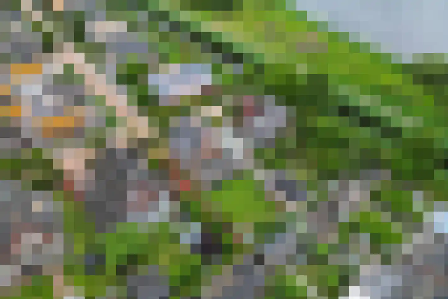 Dotingastraat 7 Dedemsvaart thumbnail 68