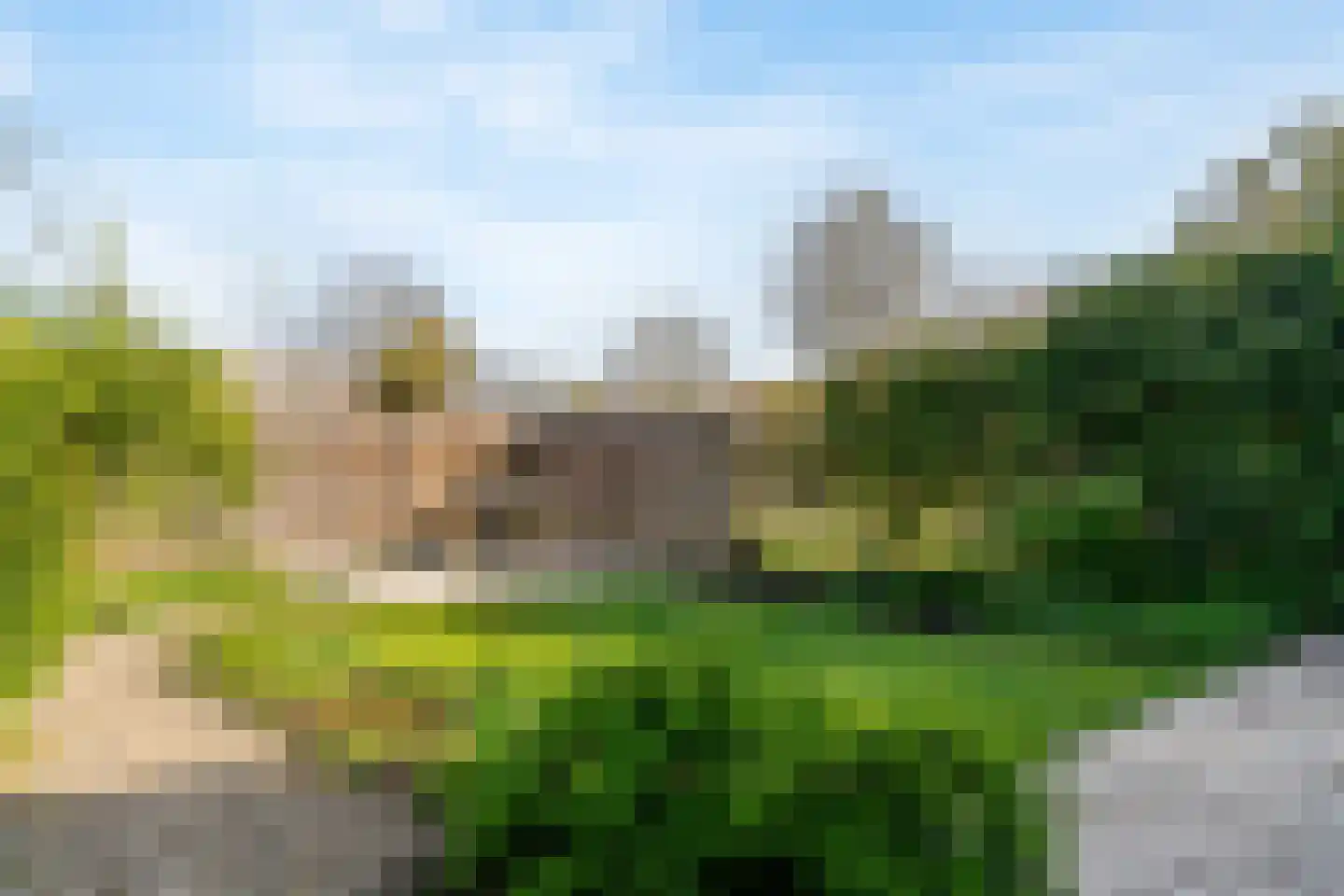 Dotter 63 Abcoude thumbnail 20