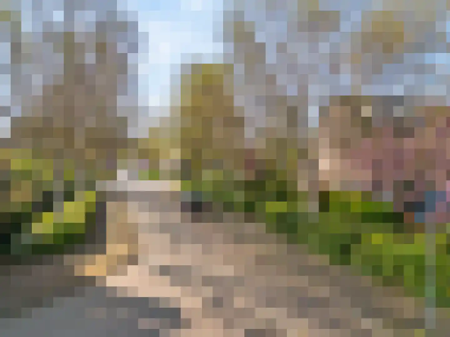 Dotter 63 Abcoude thumbnail 23
