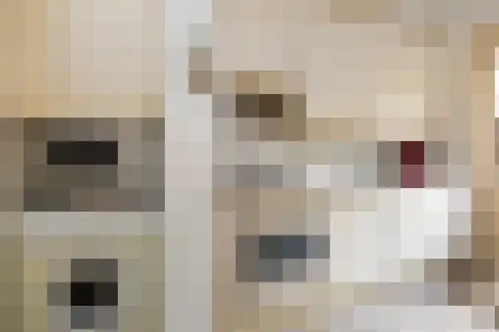 Dotter 9 Doorn thumbnail 14