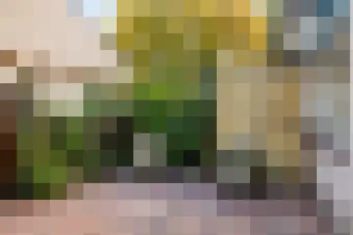 Dotter 9 Doorn thumbnail 17