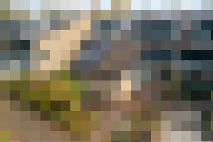 Dotter 9 Doorn thumbnail 25