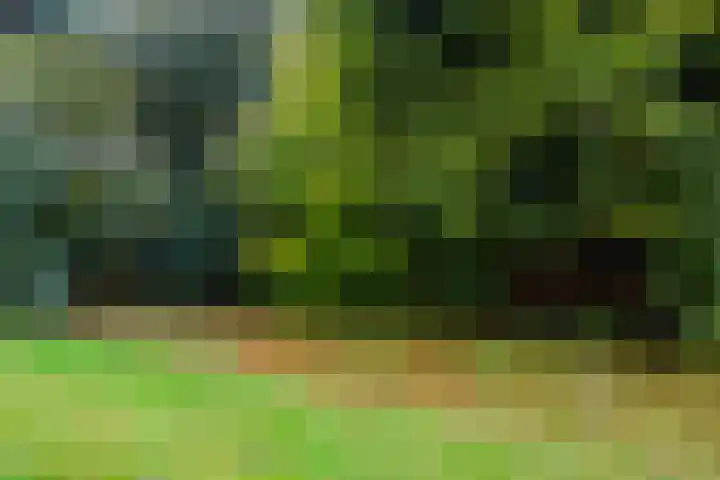 Dotter 9 Doorn thumbnail 27