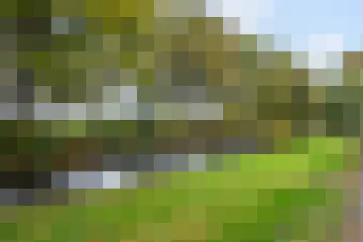 Dotter 9 Doorn thumbnail 28