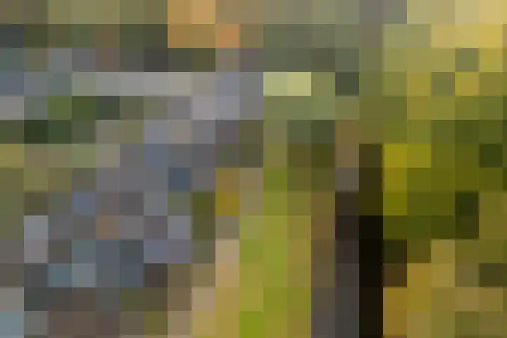 Dotter 9 Doorn thumbnail 30