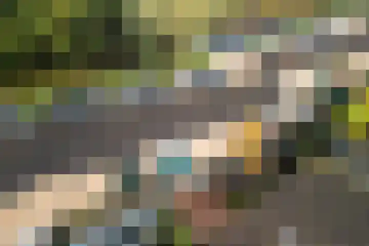 Dotter 9 Doorn thumbnail 31